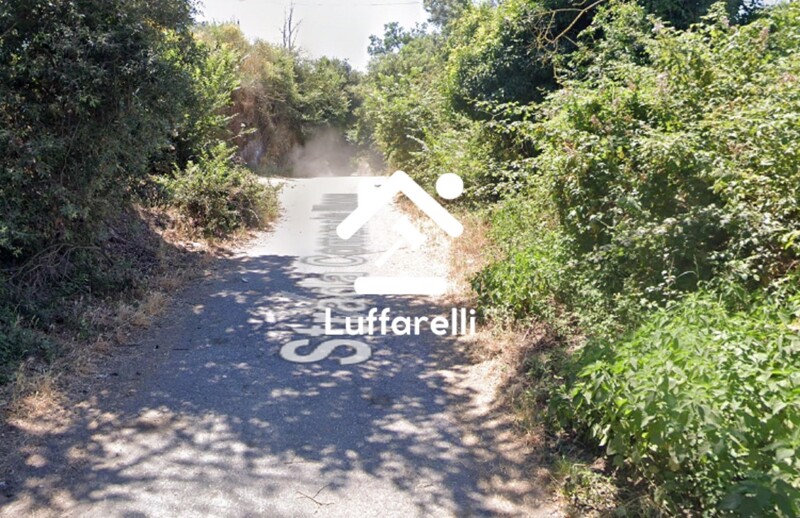 Immagine di TERRENO LOCALITA’ MARTOGNANO DI SOTTO – ANGUILLARA SABAZIA (RM)