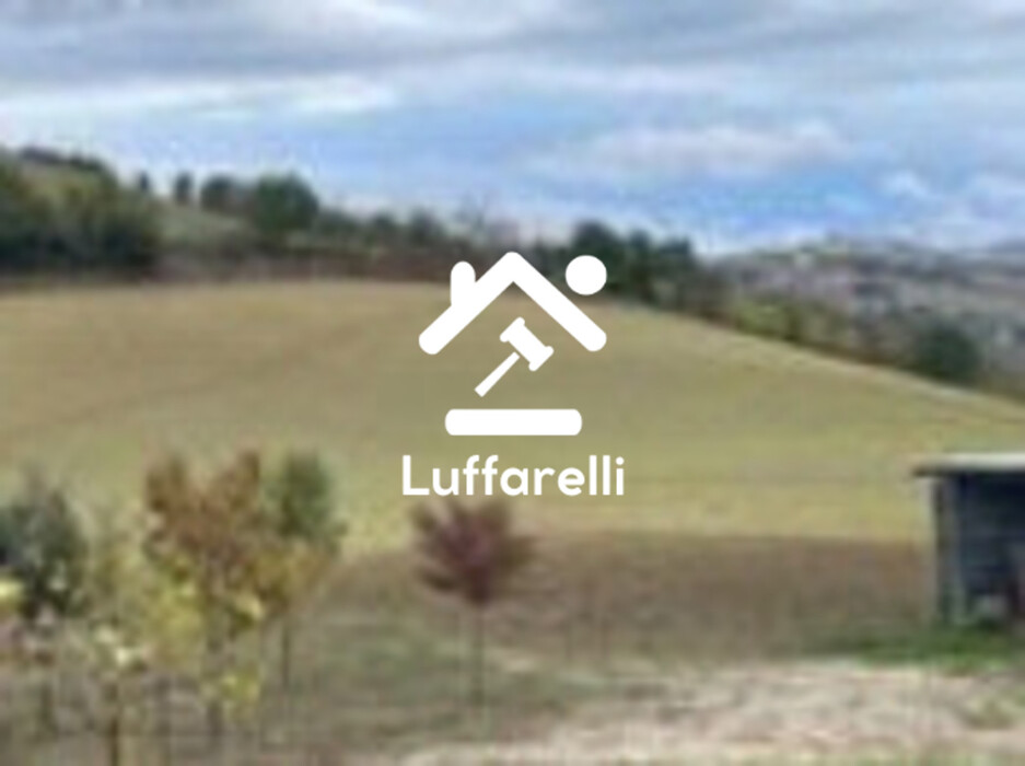 Immagine di TERRENO MONTEBELLO – MONTOTTONE