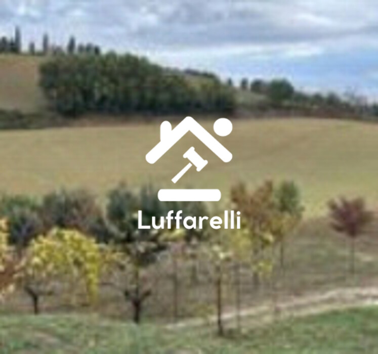 Immagine di TERRENO MONTEBELLO – MONTOTTONE