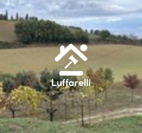 TERRENO MONTEBELLO - MONTOTTONE — foto 4
