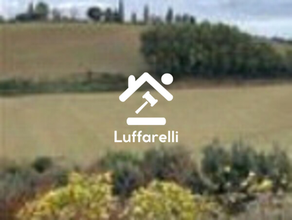TERRENO MONTEBELLO - MONTOTTONE — foto 6