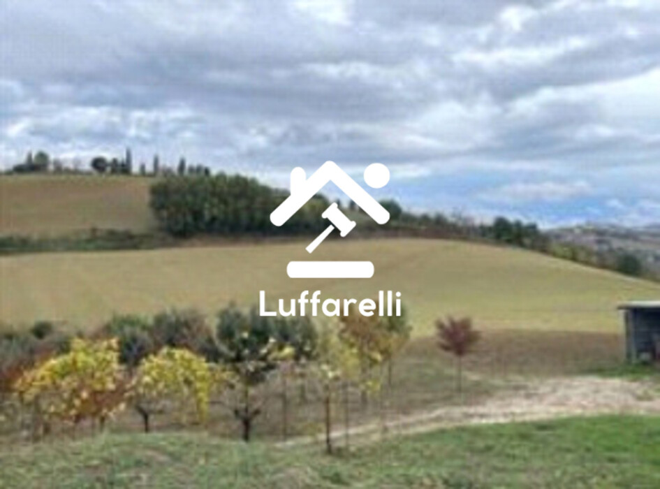 Immagine di TERRENO MONTEBELLO – MONTOTTONE