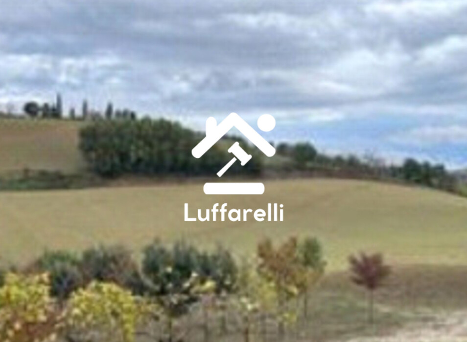 Immagine di TERRENO MONTEBELLO – MONTOTTONE