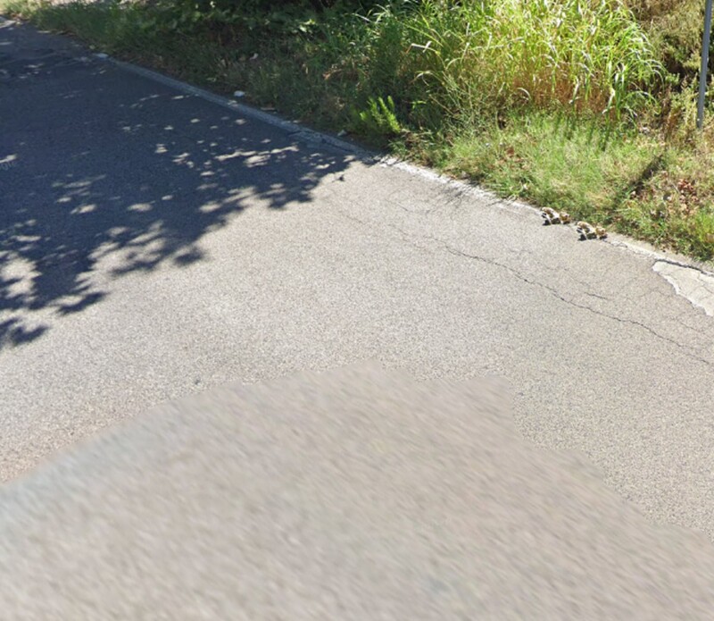 Immagine di APP.VIA PROVINCIALE GRATA,SPIGNO SATURNIA(LT)