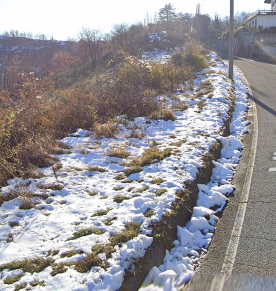 TERRENO VIA CASCINALI - PONZONE — foto 9