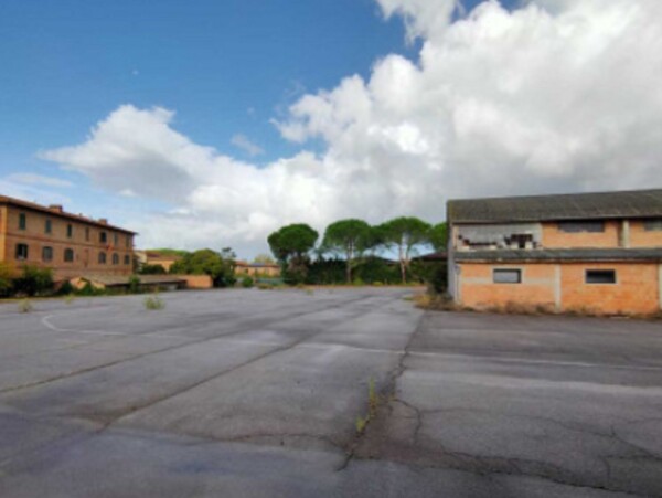 CAPANNONE VIA ARETINA - ASCIANO (SI) — foto 9