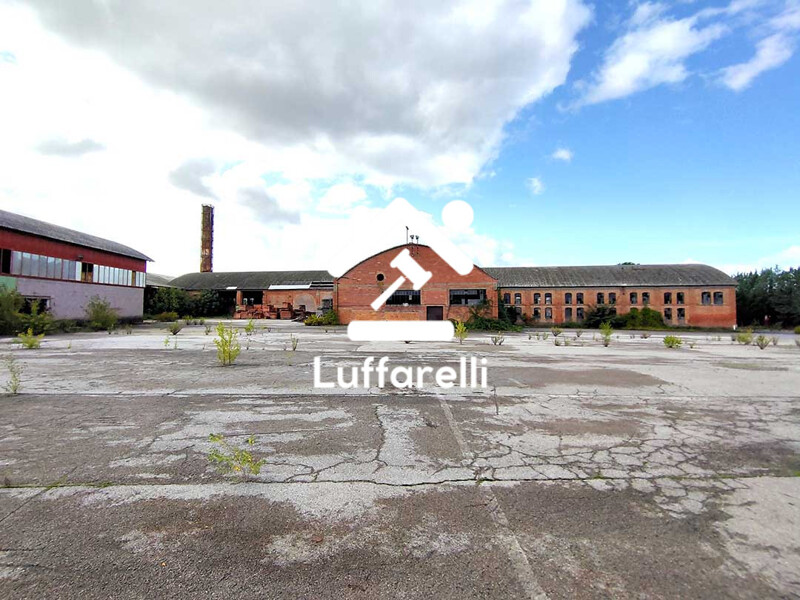Immagine di CAPANNONE VIA ARETINA – ASCIANO (SI)