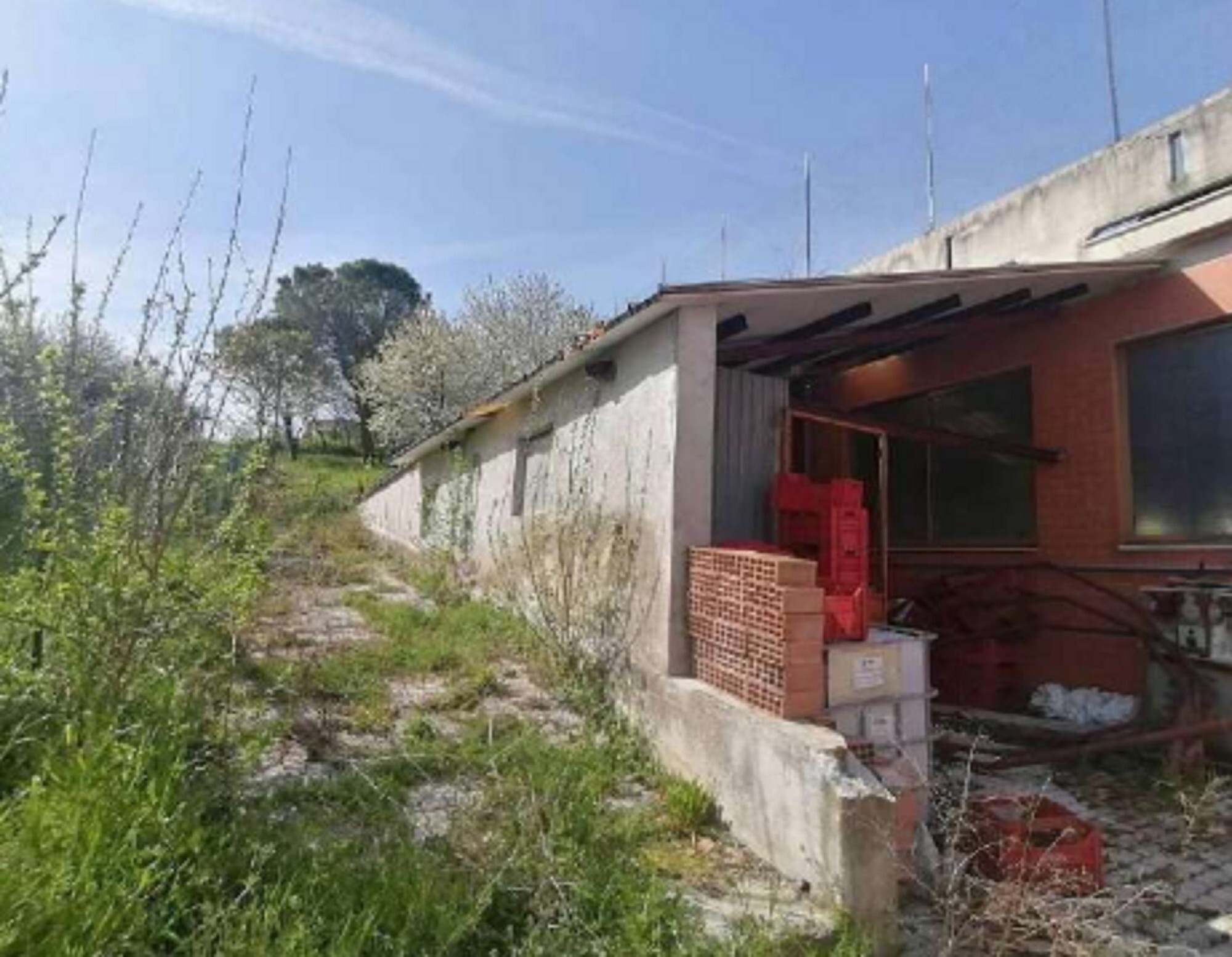 LABORATORIO VIA ENRICO FERMI - TORRE SAN PATRIZIO (FM) — foto 5