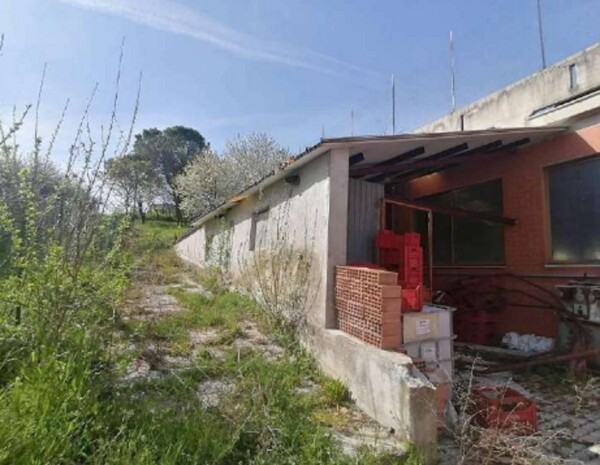 LABORATORIO VIA ENRICO FERMI - TORRE SAN PATRIZIO (FM) — foto 5