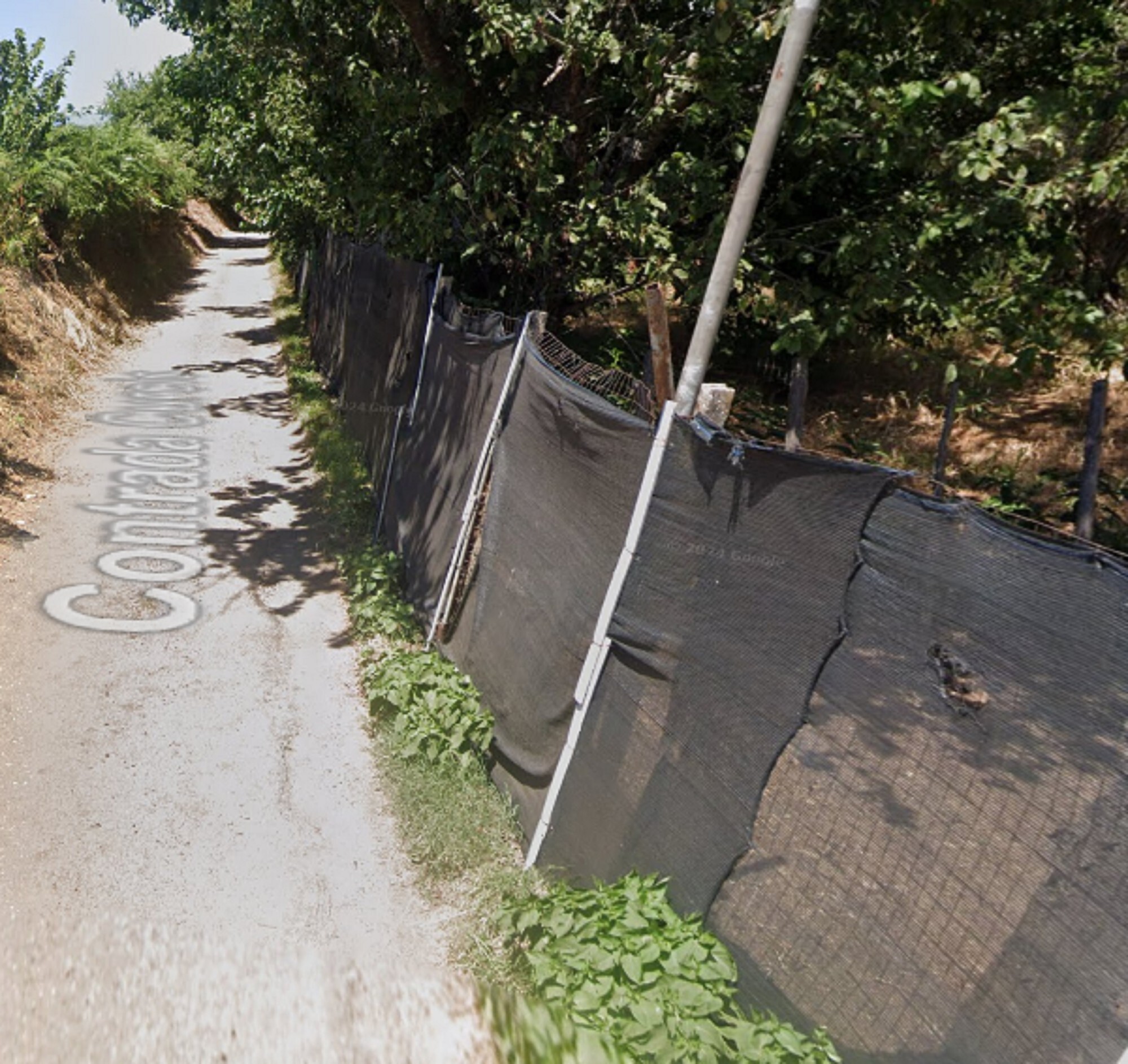 MAGAZZINO GIRIFALCO - GIRIFALCO — foto 6