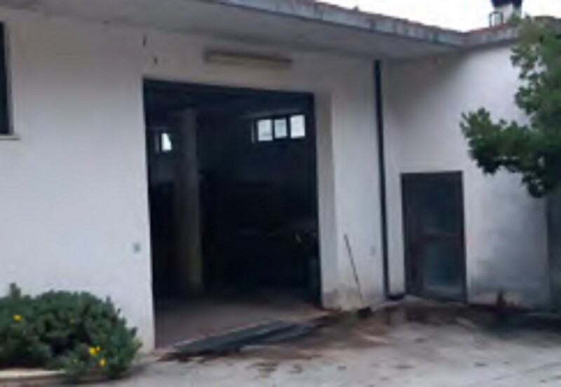 Immagine di AZIENDA AGRICOLA VIA VAL DI FORO -VIALLAMAGNA (CH)