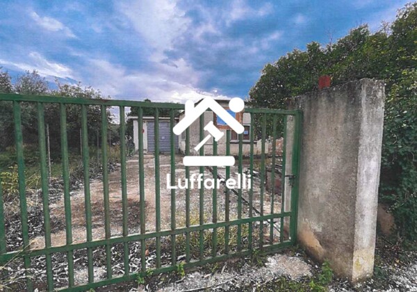 DEPOSITO / MAGAZZINO VIA ROMA - SONNINO — foto 5