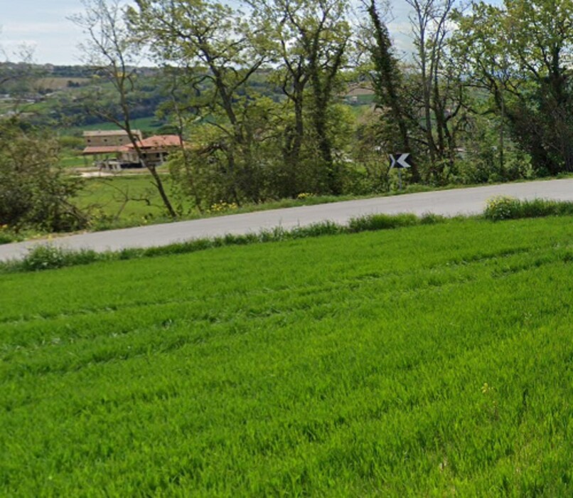 Immagine di CAPANNONE / IMMOBILI INDUSTRIALI CONTRADA CREMONE 4 – MOGLIANO