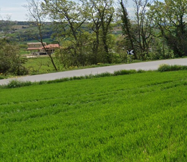CAPANNONE / IMMOBILI INDUSTRIALI CONTRADA CREMONE 4 - MOGLIANO — foto 8