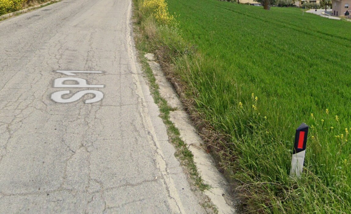 Immagine di CAPANNONE / IMMOBILI INDUSTRIALI CONTRADA CREMONE 4 – MOGLIANO