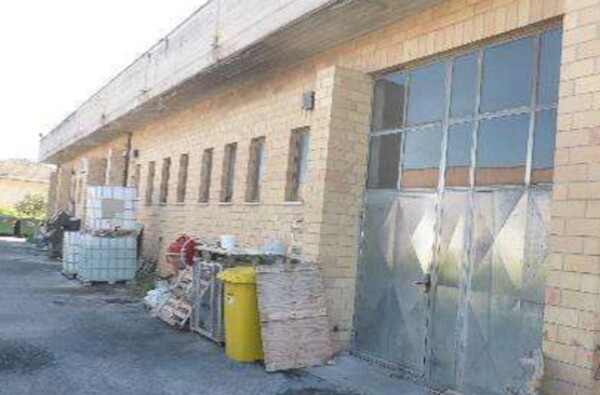 LAB. VIA LUSSU  SANT'ELPIDIO A MARE FM — foto 5