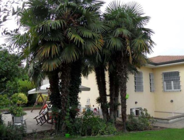 VILLA VIA CASENTINO - MONZA (MB) — foto 3