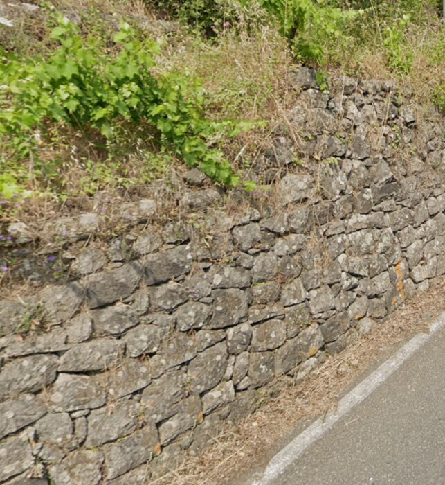 Immagine di AGRITURISMO, NUNZIATA PUNTALAZZO 10, MASCALI, CT