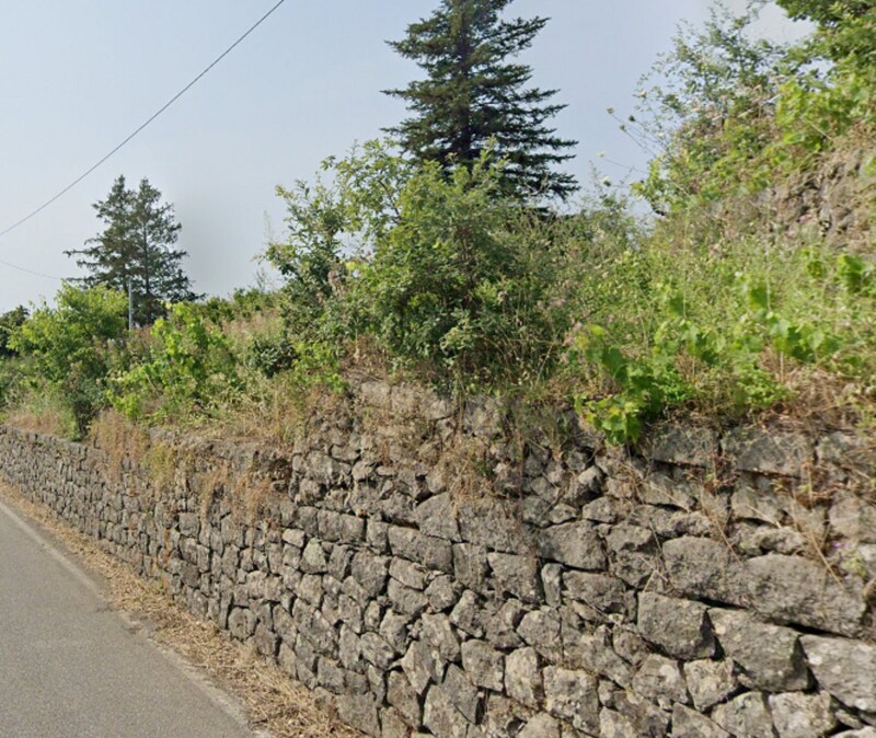 Immagine di AGRITURISMO, NUNZIATA PUNTALAZZO 10, MASCALI, CT