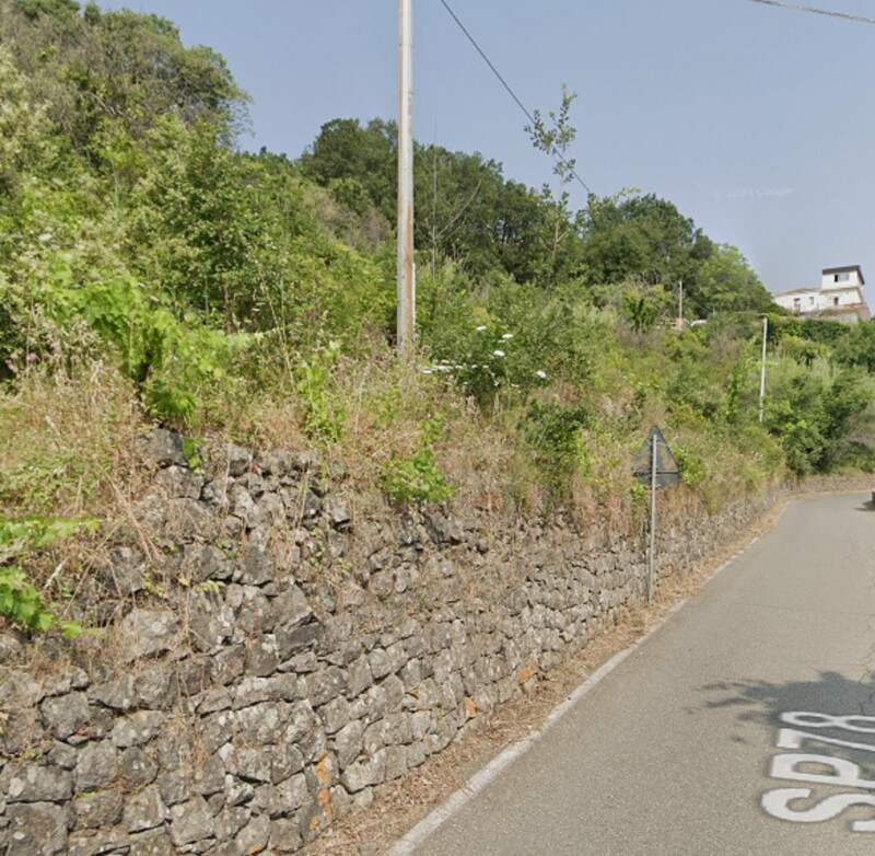 Immagine di AGRITURISMO, NUNZIATA PUNTALAZZO 10, MASCALI, CT