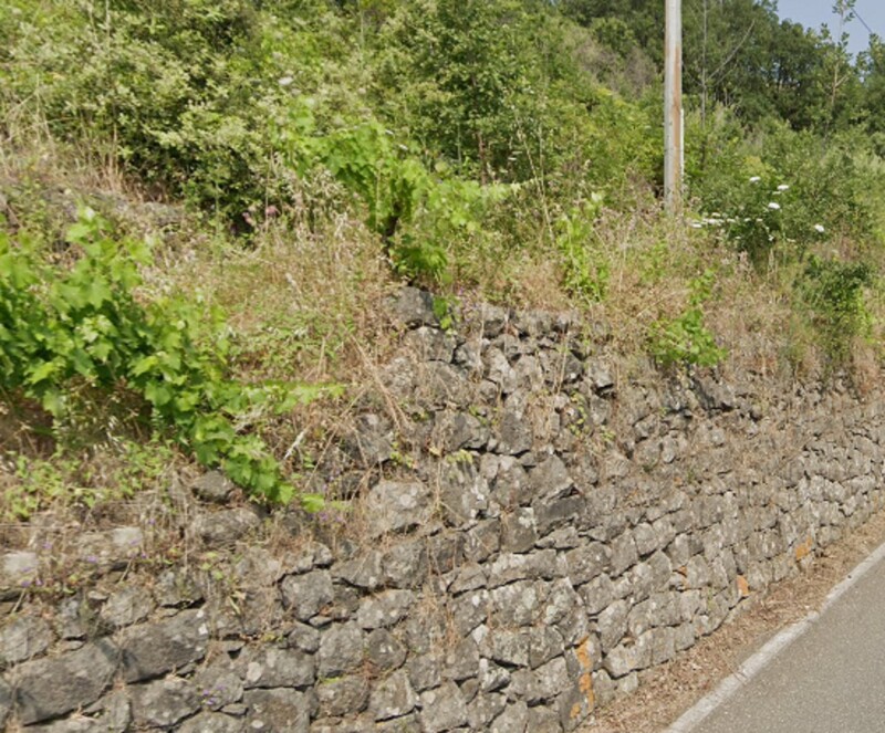 Immagine di AGRITURISMO, NUNZIATA PUNTALAZZO 10, MASCALI, CT