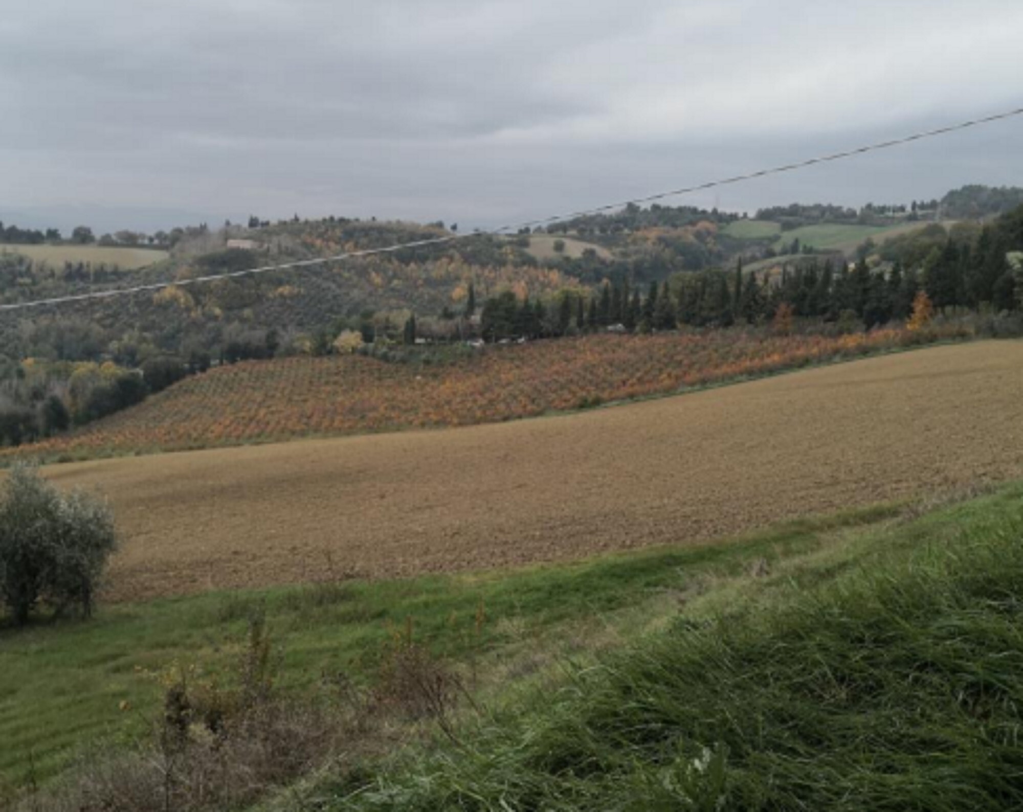 APP., VIA MOMBAROCCIO, CARTOCETO, PU — foto 5