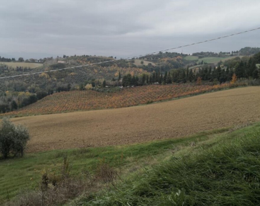Immagine di APP., VIA MOMBAROCCIO, CARTOCETO, PU