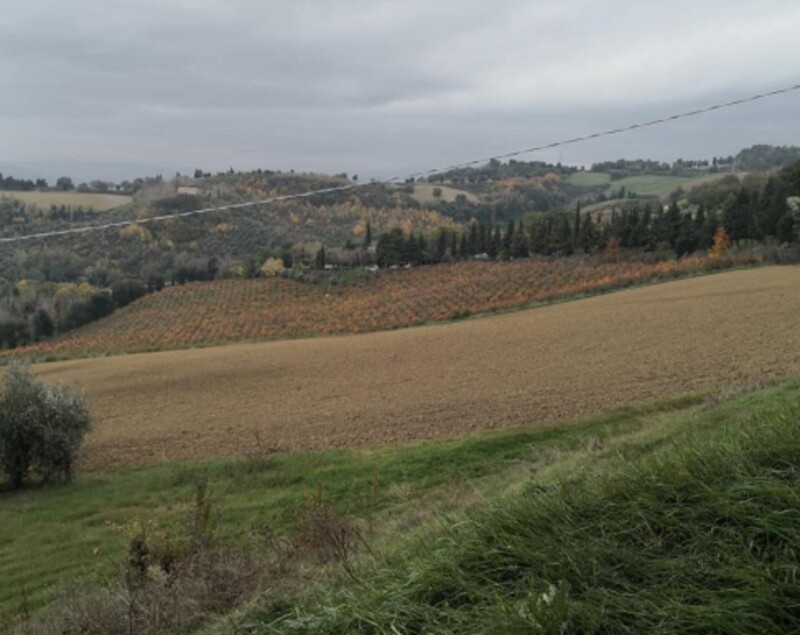 Immagine di APP., VIA MOMBAROCCIO, CARTOCETO, PU