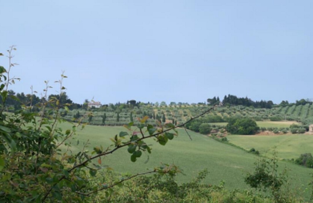 Immagine di APP., VIA MOMBAROCCIO, CARTOCETO, PU
