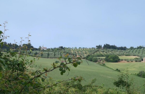 APP., VIA MOMBAROCCIO, CARTOCETO, PU — foto 6