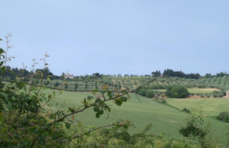 Immagine di APP., VIA MOMBAROCCIO, CARTOCETO, PU