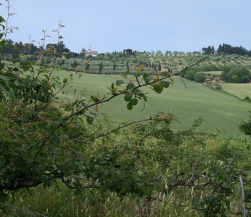 Immagine di APP., VIA MOMBAROCCIO, CARTOCETO, PU