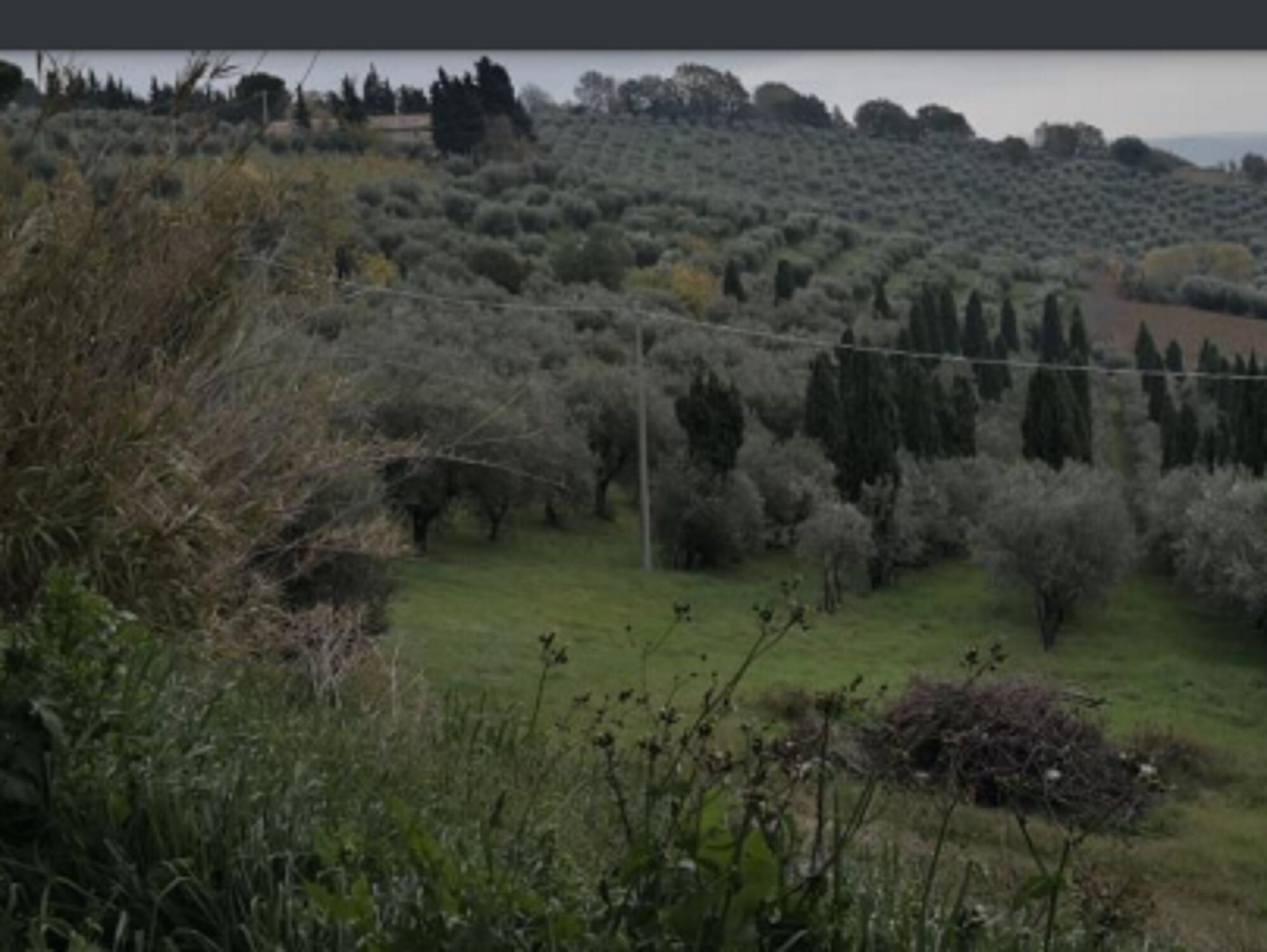 APP., VIA MOMBAROCCIO, CARTOCETO, PU — foto 4