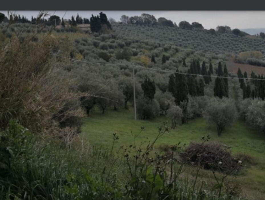 Immagine di APP., VIA MOMBAROCCIO, CARTOCETO, PU