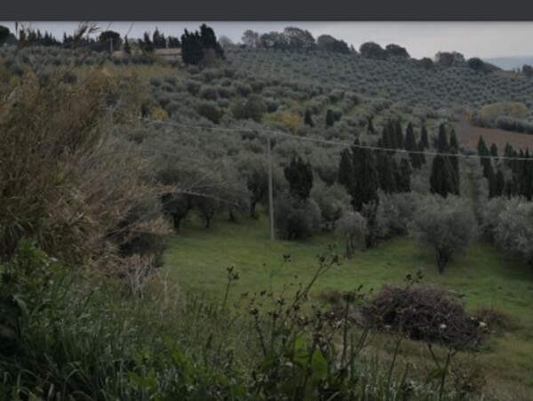 APP., VIA MOMBAROCCIO, CARTOCETO, PU — foto 4