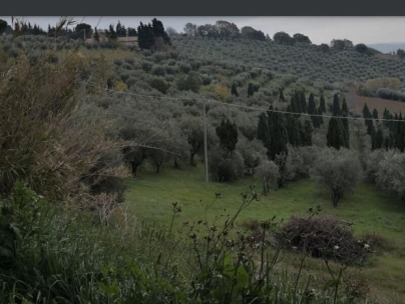 Immagine di APP., VIA MOMBAROCCIO, CARTOCETO, PU