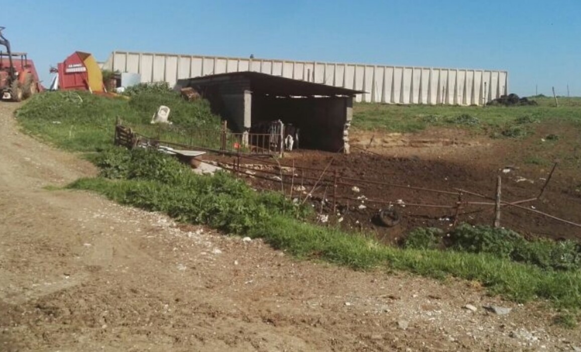 Immagine di TERRENI VIA CONSOLARE LATINA 68 SEGNI RM