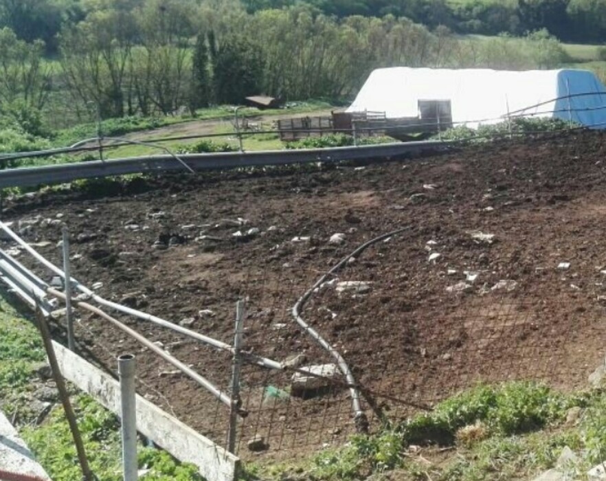 Immagine di TERRENI VIA CONSOLARE LATINA 68 SEGNI RM