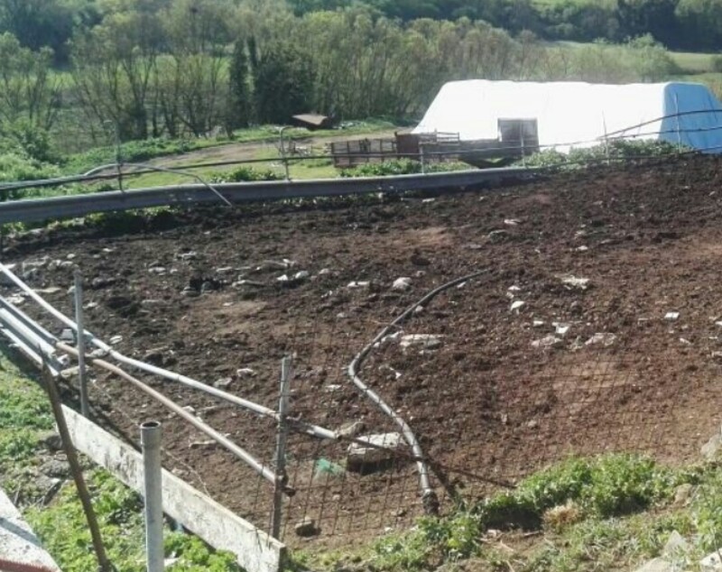 Immagine di TERRENI VIA CONSOLARE LATINA 68 SEGNI RM