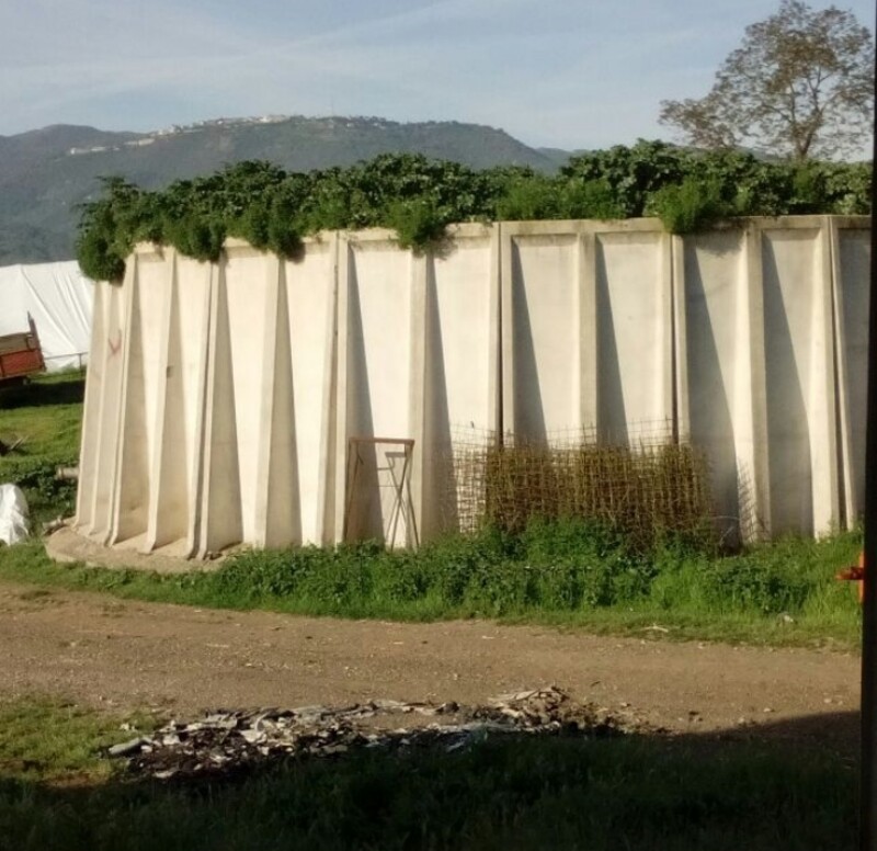 Immagine di TERRENI VIA CONSOLARE LATINA 68 SEGNI RM