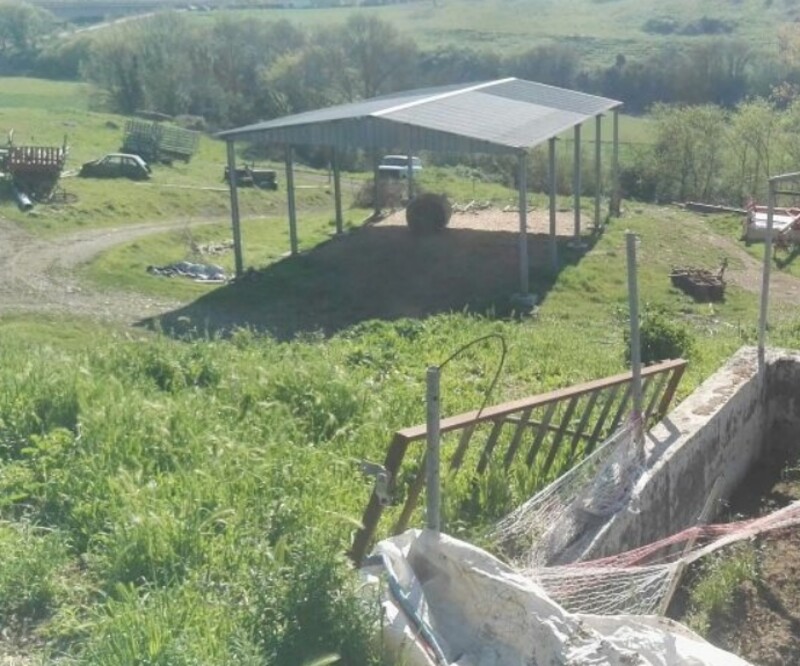 Immagine di TERRENI VIA CONSOLARE LATINA 68 SEGNI RM