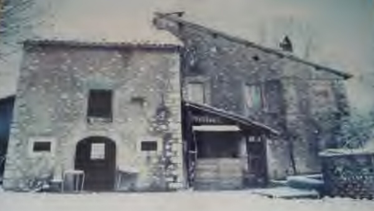 Immagine di CAPANNONE VIA LOC. LE CAMPORA – ORICOLA