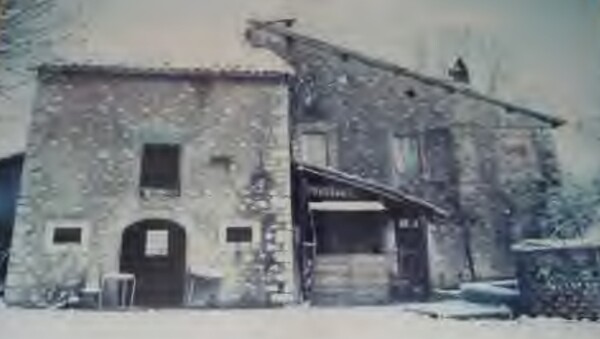 CAPANNONE VIA LOC. LE CAMPORA - ORICOLA — foto 5