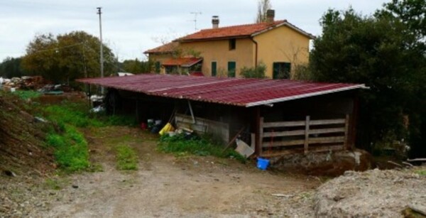 STRUTTURE AGRICOLE SS CASSIA SUD - VETRALLA — foto 6