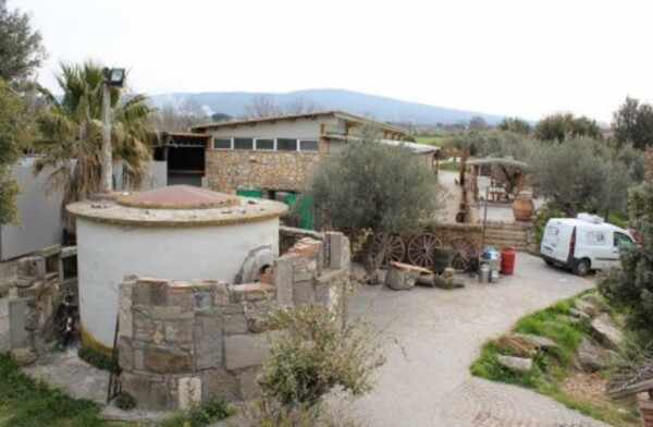 STRUTTURE AGRICOLE SS CASSIA SUD - VETRALLA — foto 9