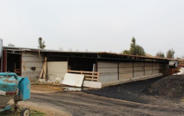 STRUTTURE AGRICOLE SS CASSIA SUD - VETRALLA — foto 7