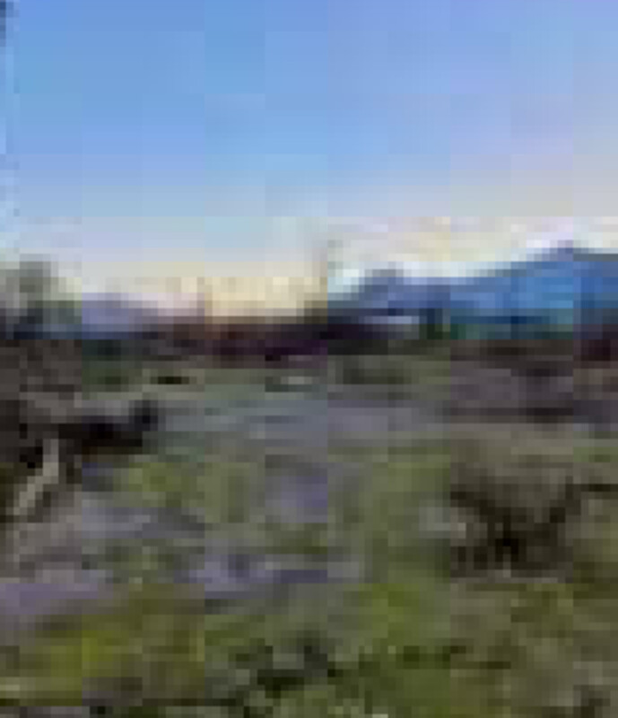 Immagine di DEPOSITO ZONA ASI – PATRICA (FR)