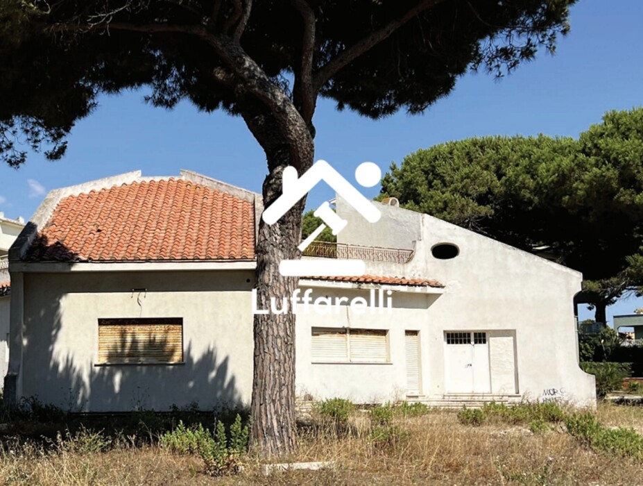 Immagine di NEGOZIO O LOCALE COMMERCIALE PIAZZA PRIMA ROSA – CERVETERI