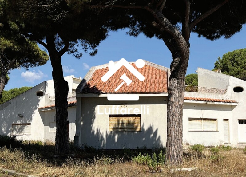 Immagine di NEGOZIO O LOCALE COMMERCIALE PIAZZA PRIMA ROSA – CERVETERI