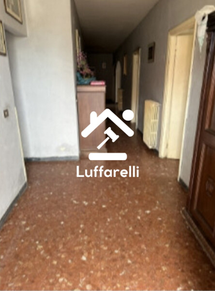 DEPOSITO / MAGAZZINO VIA MONTE CUCCO - CASTELNUOVO DI PORTO — foto 3